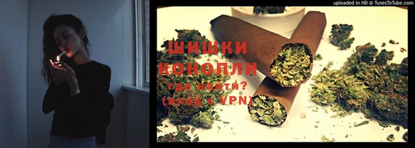 дмт Алзамай