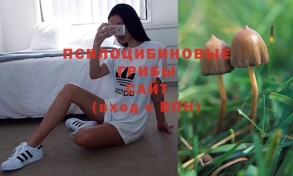 дмт Алзамай