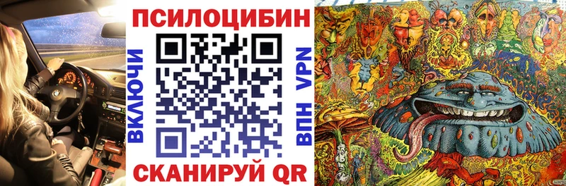 Галлюциногенные грибы Cubensis  Яровое 